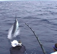Amokura Charters - Holiday Cairns