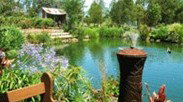 Gone Walkabout Safaris - Holiday Cairns 0