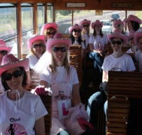Newcastles Famous Tram - Holiday Cairns