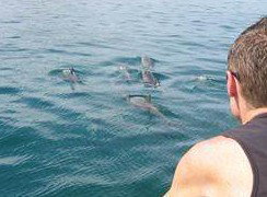 Tex Tours - Holiday Cairns 3