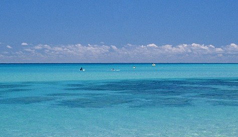 Go Sea Kayak - Holiday Cairns 1