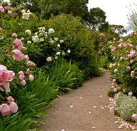 Ross Garden Tours - Holiday Cairns