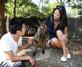 VIP Aussie Gold - Holiday Cairns 0