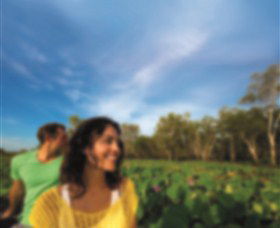AAT Kings Guided Tours (Top End) - Holiday Cairns 3