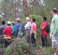 Boronia Tours - Holiday Cairns