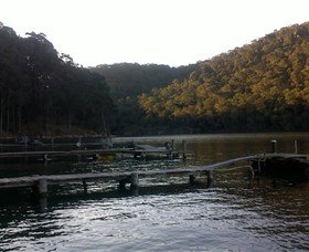 Church Point Ferry Service - Holiday Cairns 5