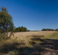 Scheyville horse riding trails - Holiday Cairns