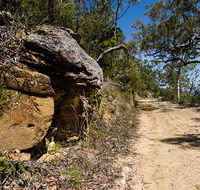 Canoelands Ridge walking track - Holiday Cairns