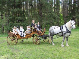 Mansfield Park SA Holiday Cairns