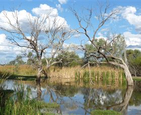 Lagoon Creek - Holiday Cairns 0