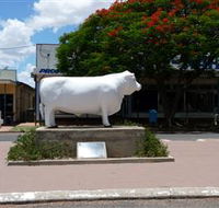 Aramac - The White Bull - Holiday Cairns
