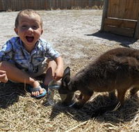 Animal Farm Goolwa - Holiday Cairns