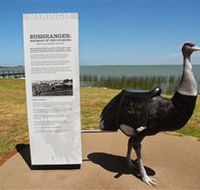 Birdman of the Coorong - Holiday Cairns