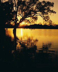 Hattah-Kulkyne National Park - Holiday Cairns 0