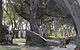Wallam Creek, Bollon - thumb 0