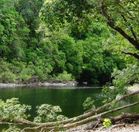 Broadwater Abergowrie State Forest - Holiday Cairns