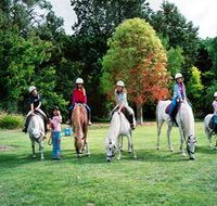 Limestone Coast Horseriding - Holiday Cairns