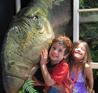 Australian Opal Centre - Holiday Cairns