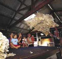 Shear Outback the Australian Shearers Hall of Fame - Holiday Cairns