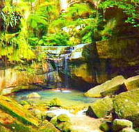 Carnarvon Gorge Carnarvon National Park - Holiday Cairns