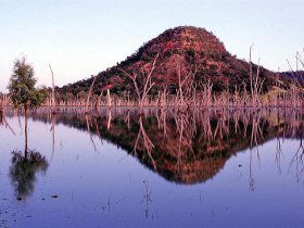 Nuga Nuga National Park And Lake Nuga Nuga - Holiday Cairns 3