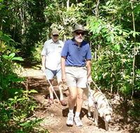 Wongabel State Forest - Holiday Cairns