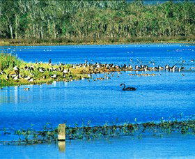 Hasties Swamp National Park - Holiday Cairns 0
