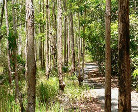 Hallorans Hill Conservation Park - Holiday Cairns 0