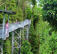 Mamu Tropical Skywalk - Holiday Cairns