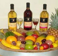 de Brueys Boutique Wines and Functions Venue - Holiday Cairns