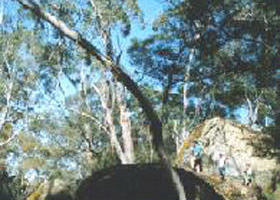 Dunrobin ACT Holiday Cairns