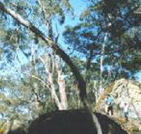 Dergholm State Park - Holiday Cairns