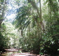 Mount Lewis National Park - Holiday Cairns
