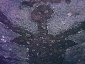 Quinkan Reserves Ancient Rock Art - Holiday Cairns 0