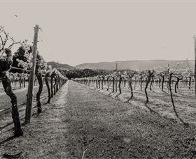 Halls Gap Estate - Holiday Cairns 0
