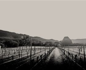 Halls Gap Estate - Holiday Cairns 1