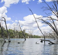 Murrumbidgee Valley National Park - Holiday Cairns