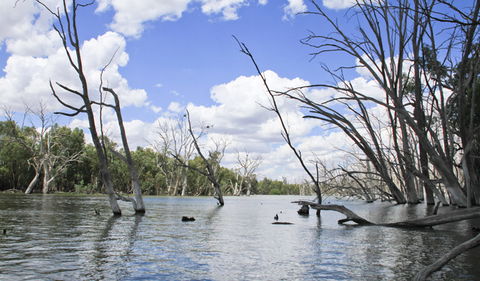Murrumbidgee Valley National Park - Holiday Cairns 0