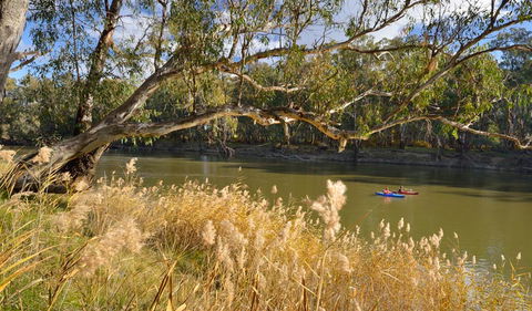 Murrumbidgee Valley National Park - Holiday Cairns 3