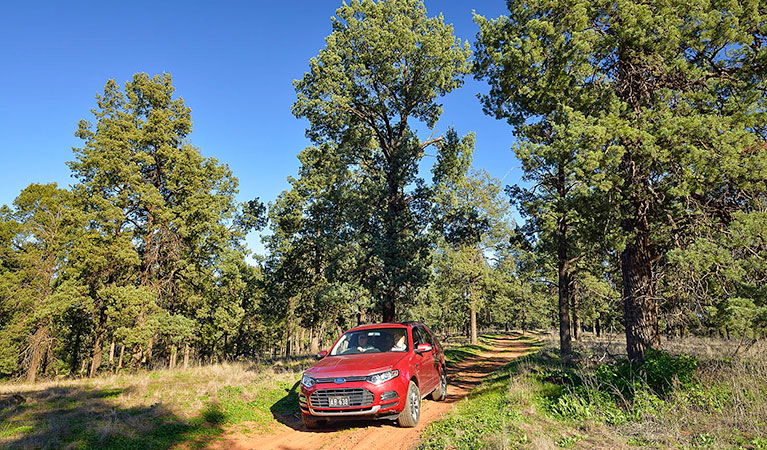 Narrandera NSW Holiday Cairns