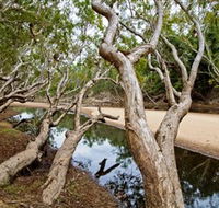 Oyala Thumotang National Park CYPAL - Holiday Cairns