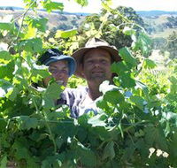 Wimmera Hills Winery - Holiday Cairns