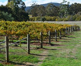 Mountainside Wines - Holiday Cairns 1