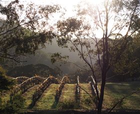 Mountainside Wines - Holiday Cairns 3