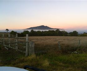 Mountainside Wines - Holiday Cairns 2
