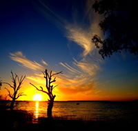 Lake Cowal - Holiday Cairns