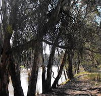 Mia Forest Drives Narrandera - Holiday Cairns