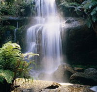Mount Buangor State Park - Holiday Cairns