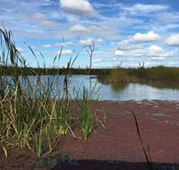 Gwydir Wetlands - Holiday Cairns