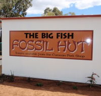 Big Fish Fossil Hut at Peak Hill - Holiday Cairns